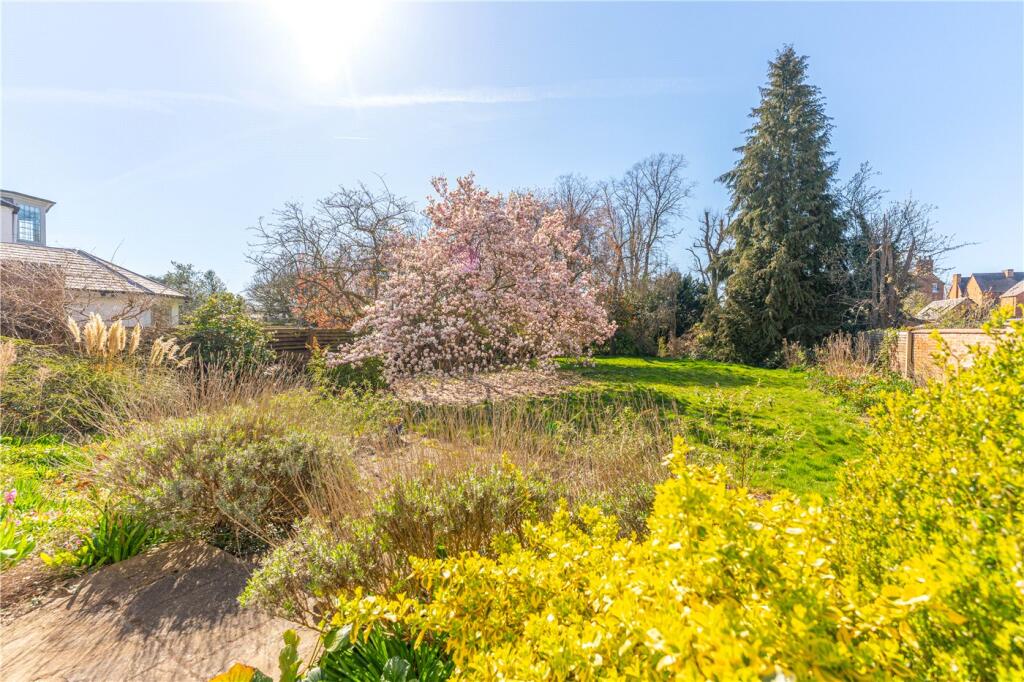 Rear Garden From Cor