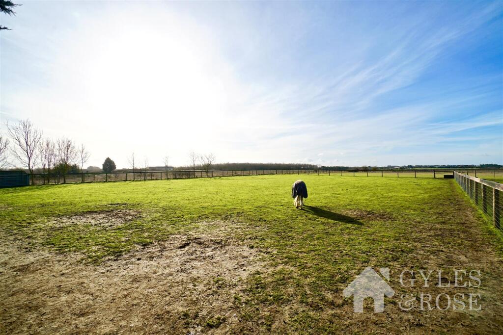 Field