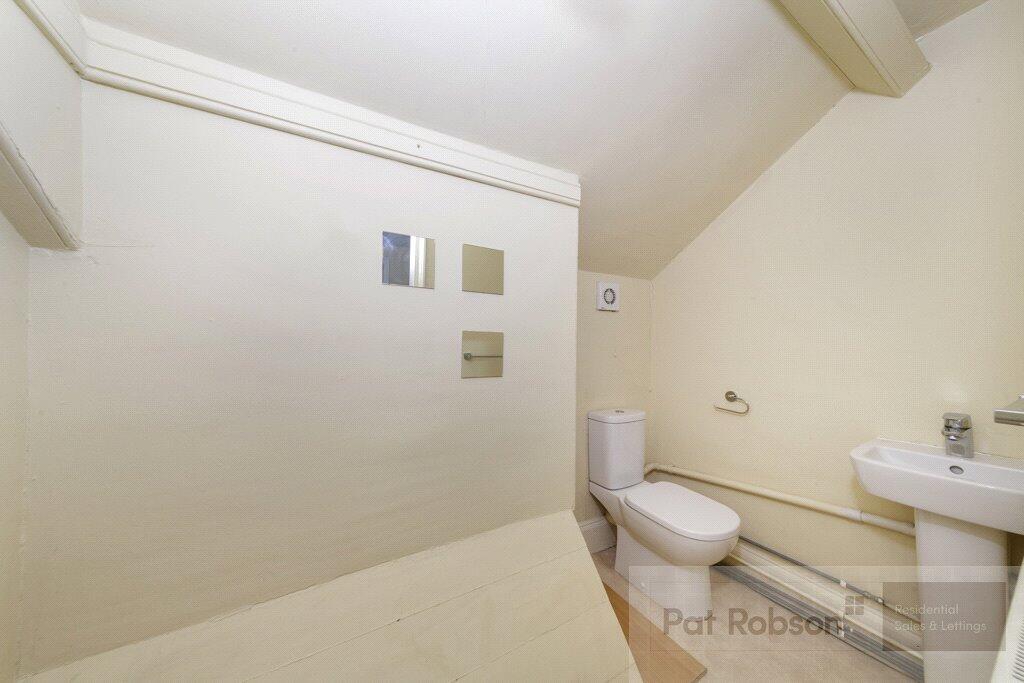 Picture 11