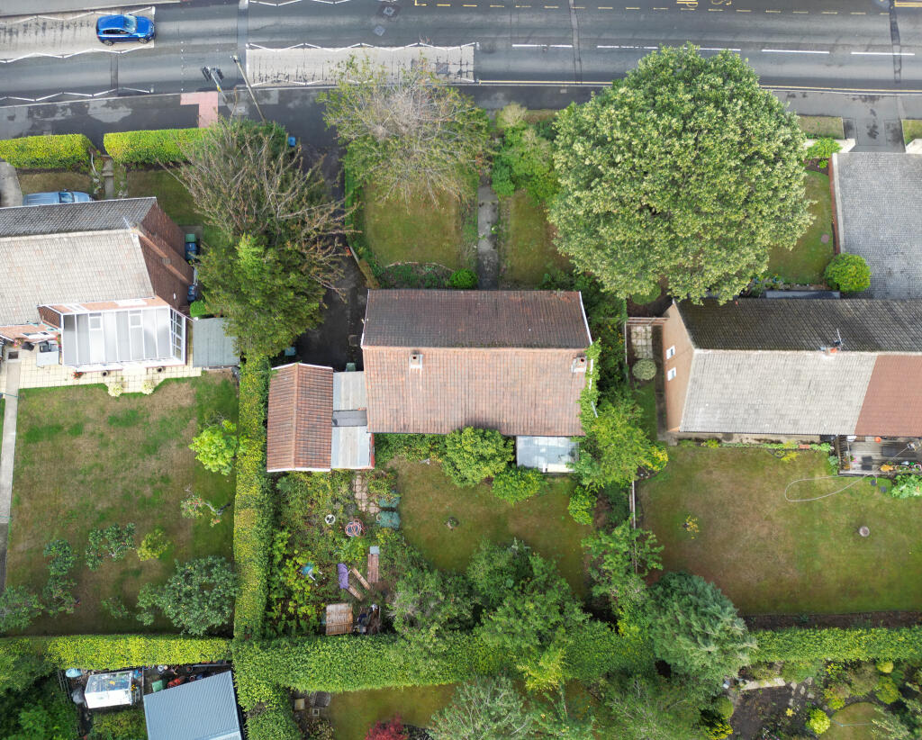 DJI 0395 T202509171429.jpg