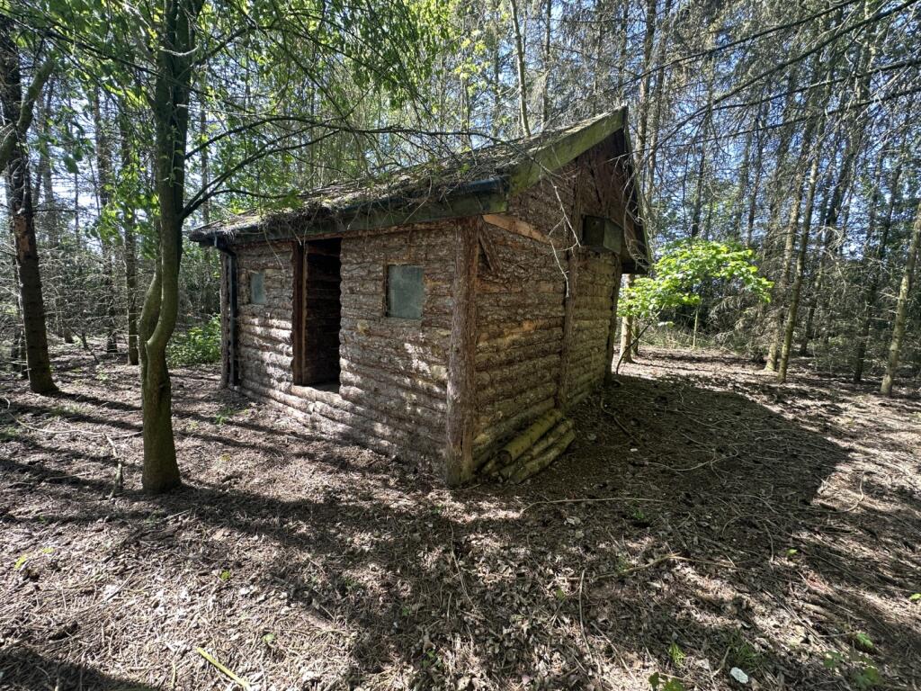 20250512 110259067 IOS T202505161036.jpg