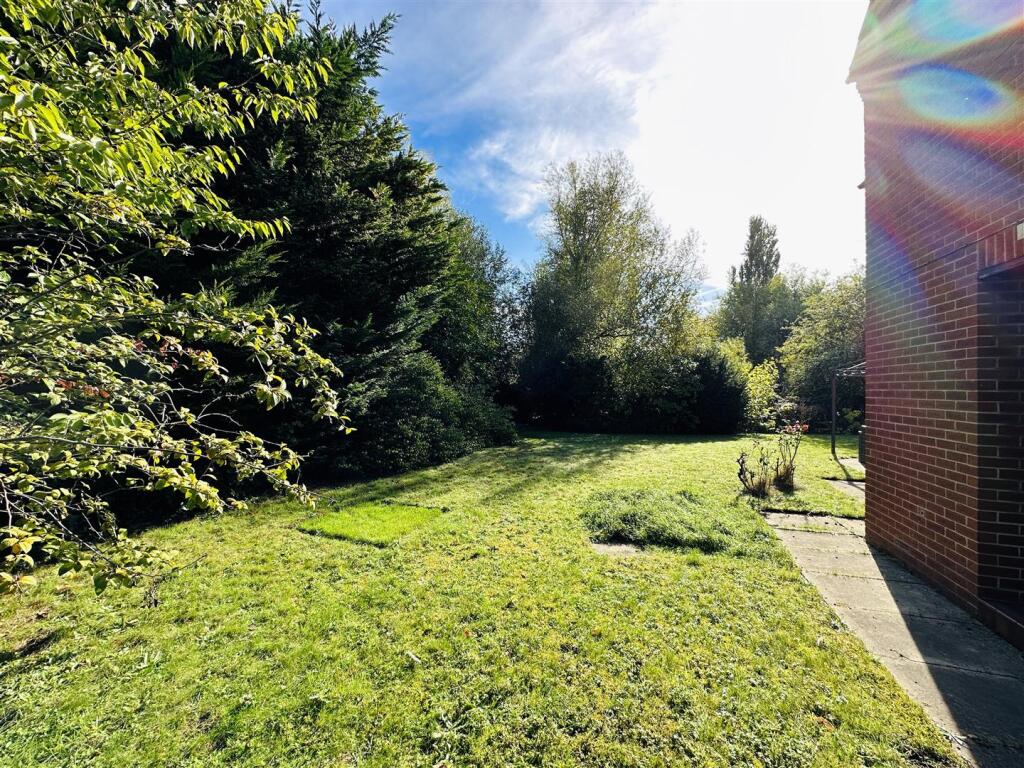 garden 1.jpg