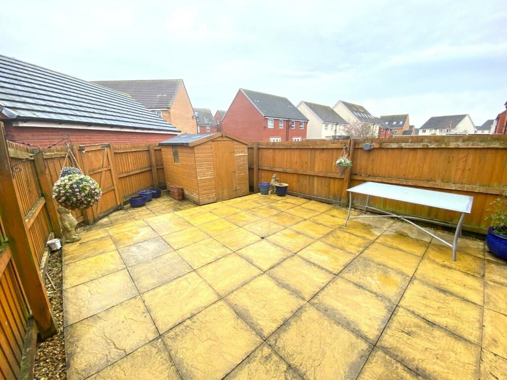 IMG_3114 (Large).JPG