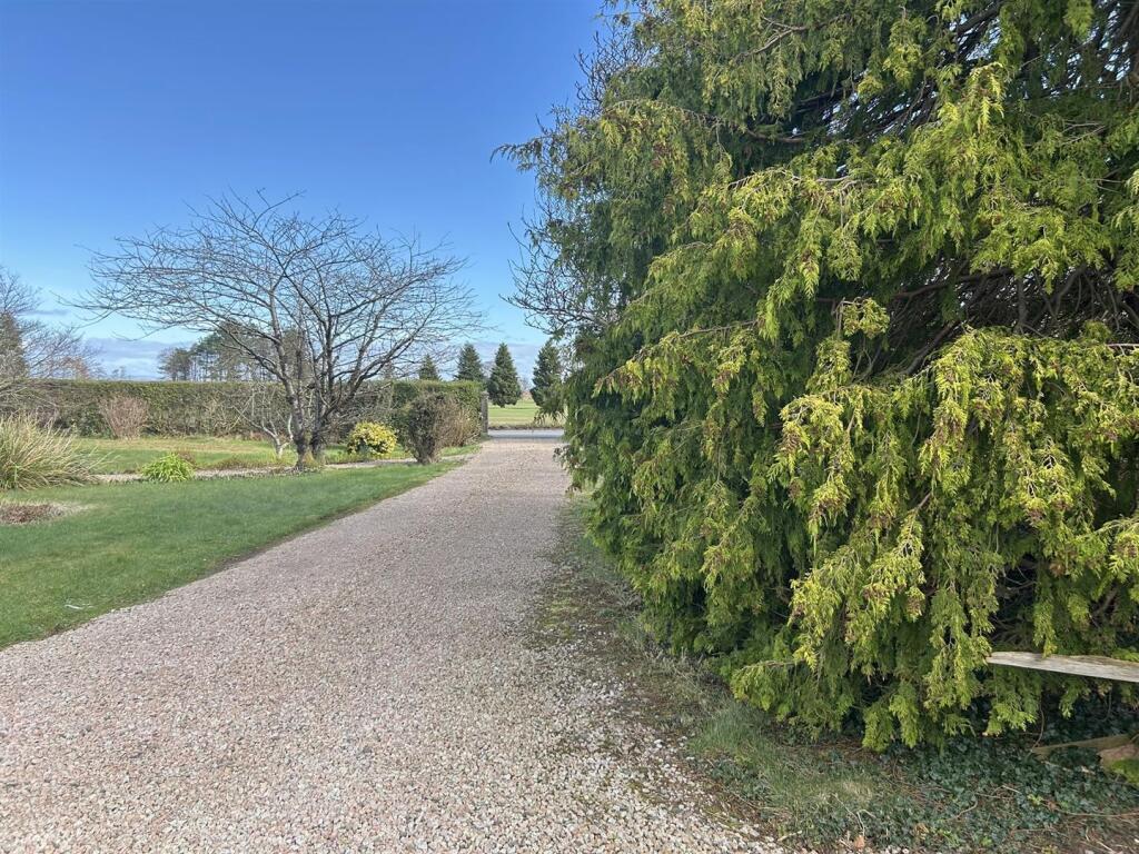 Shared driveway