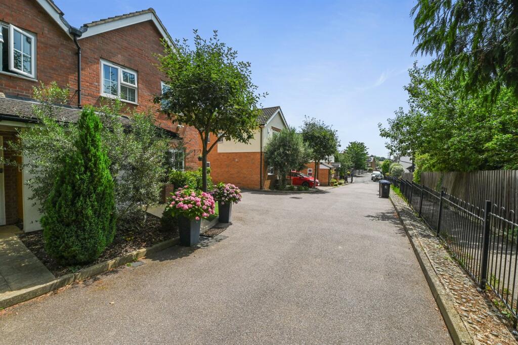The Hedgerows