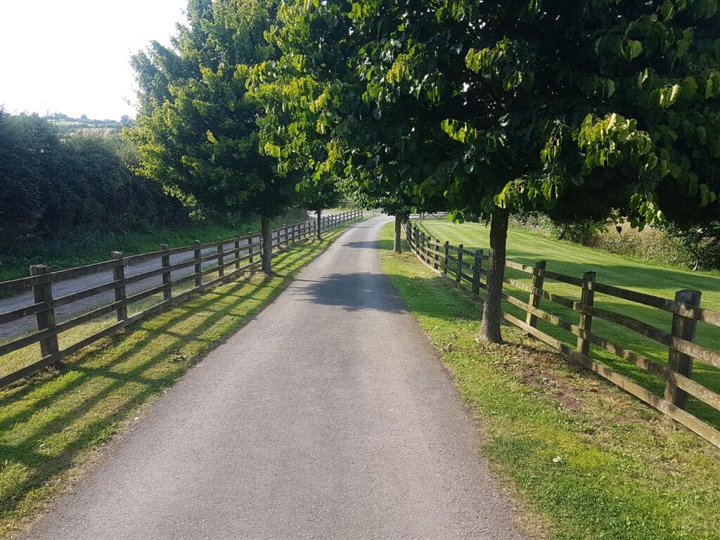 20240809_170637.jpg
