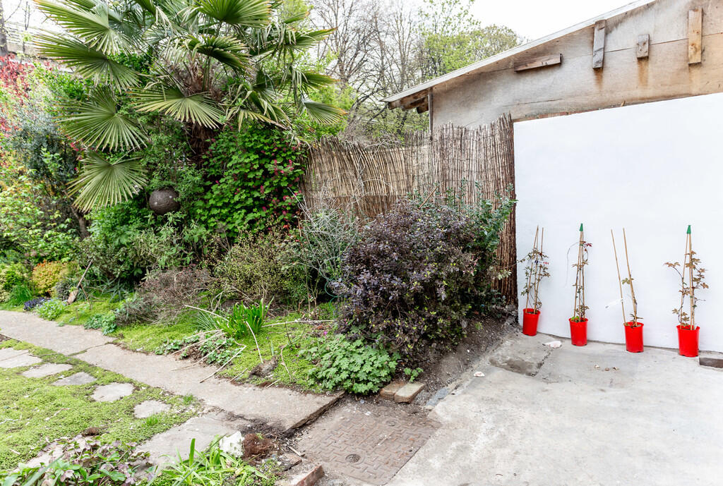 Garden 3