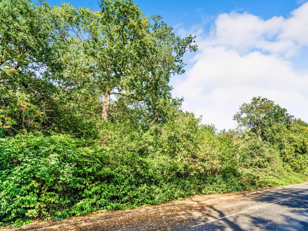 PHOTO-2025-10-05-12-12-56  3  T202511201452.jpg