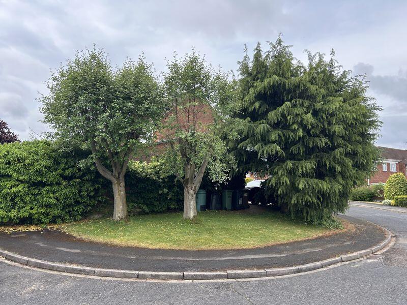 Further Garden to Side