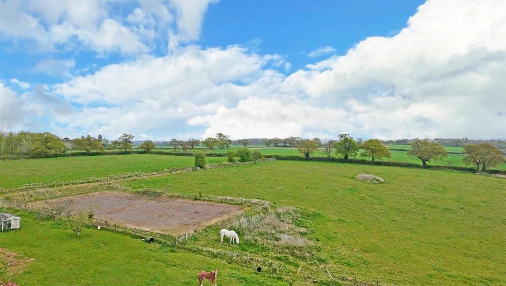 DJI_20250415162128_0031_D copy.jpg