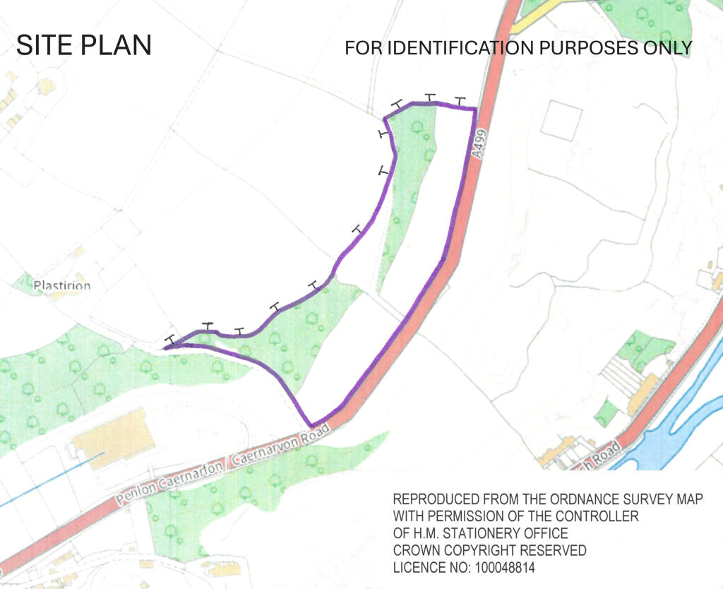 SITE PLAN- Bryn Crin Land