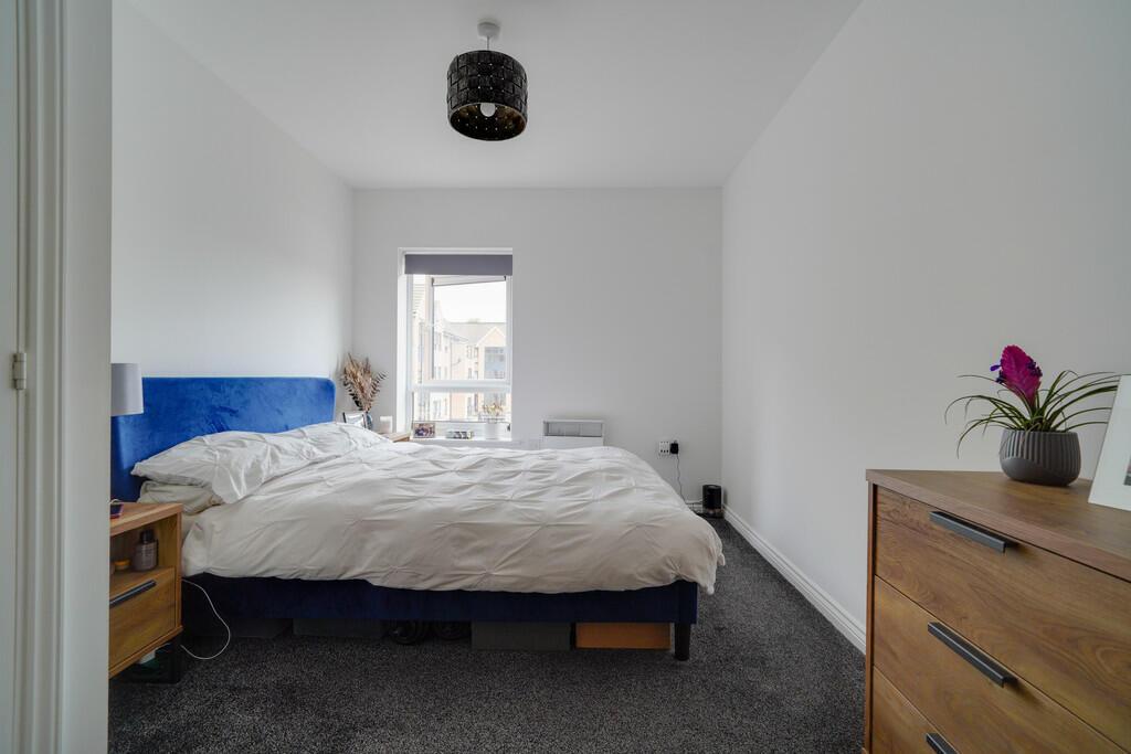 11 Marbled White ...