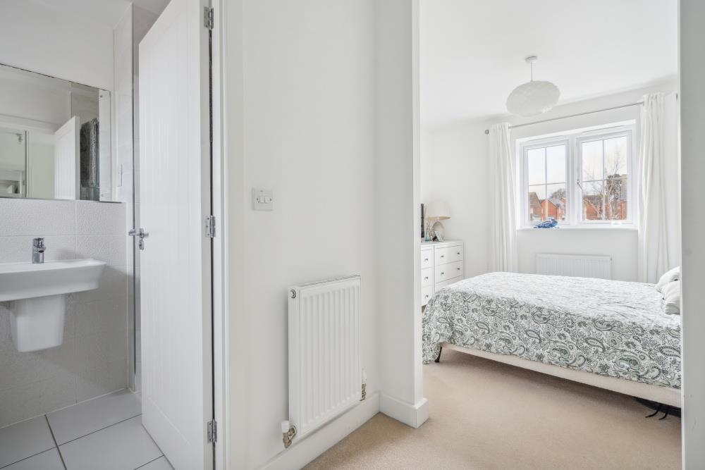 DSC01879 - 800px.jpg