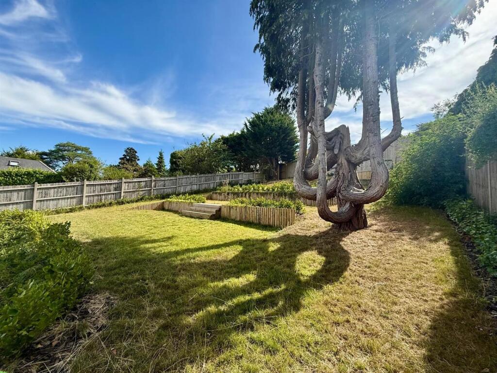 66 pr 18 back garden with tree.jpg