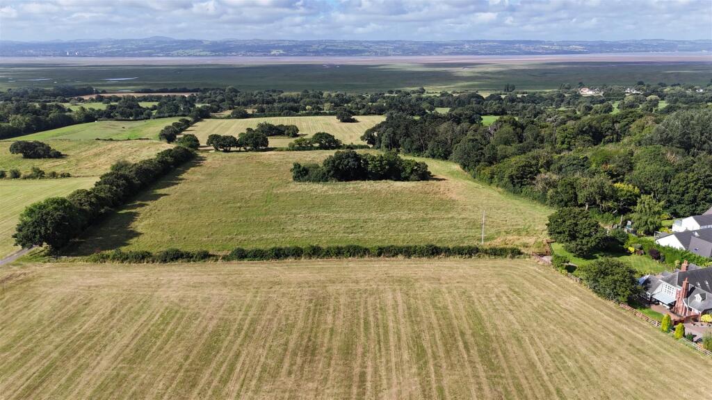 dji_fly_20240814_100748_0658_1723630750476_photo.j