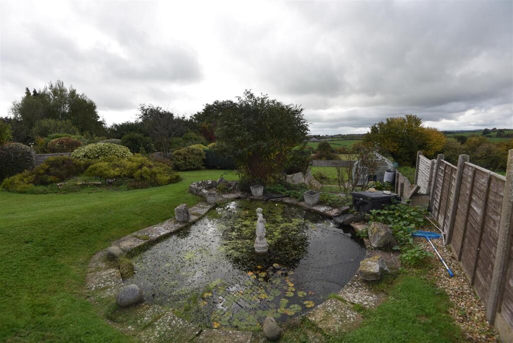 Pond