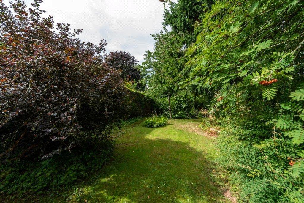 Front Garden 2
