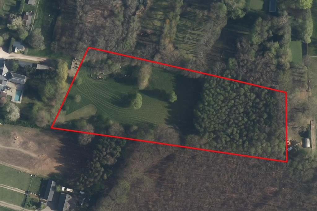 Cherry Tree - Land.png