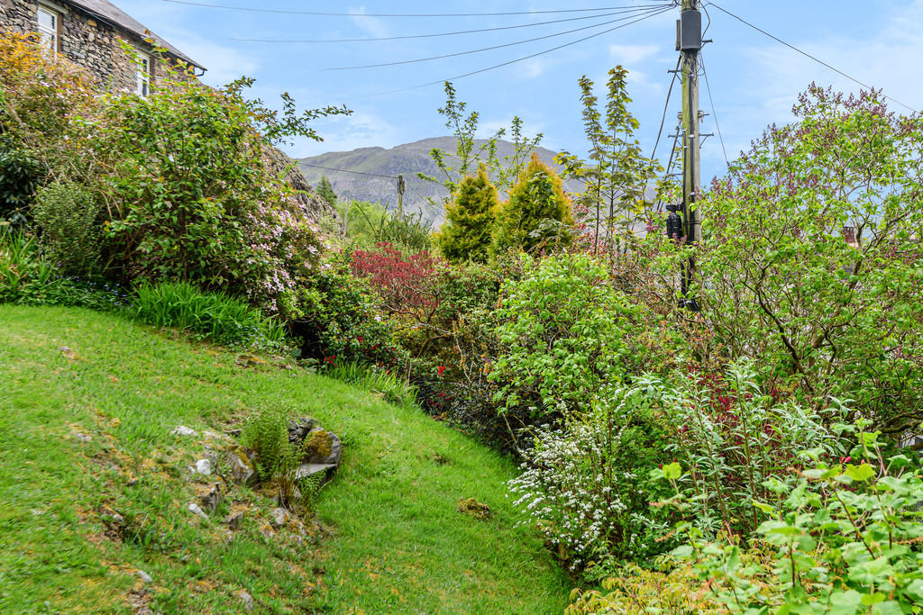 Garden and View