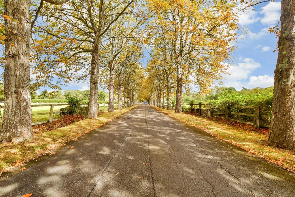 Driveway/Parking
