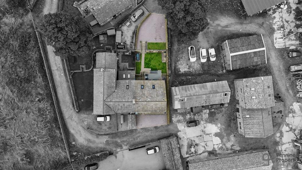 2024-07-10 12.01.12_1-1.jpg