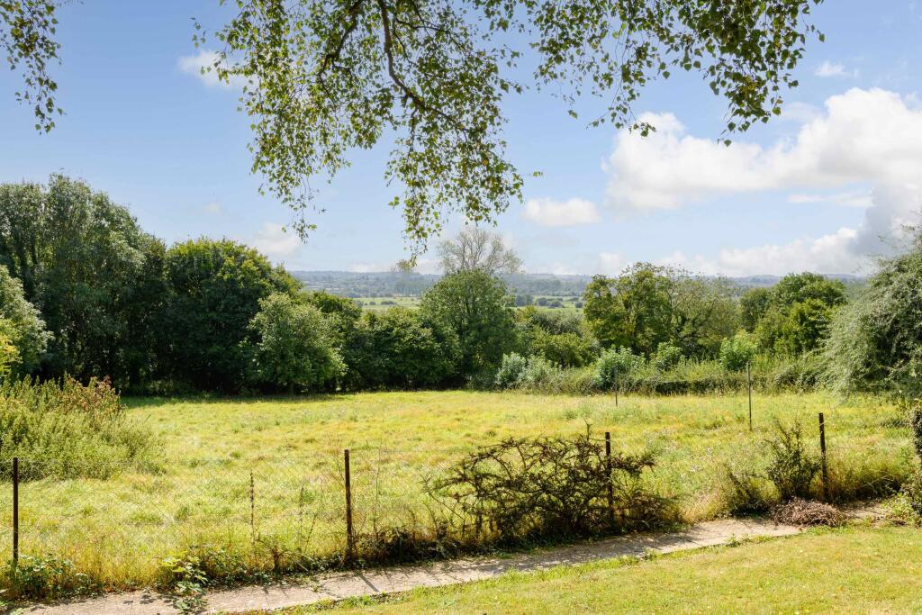 TEK HiRes 240827 041.jpeg