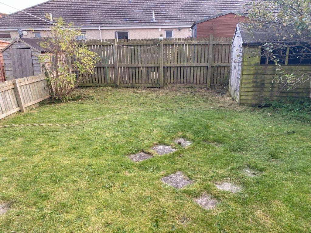 garden.jpg