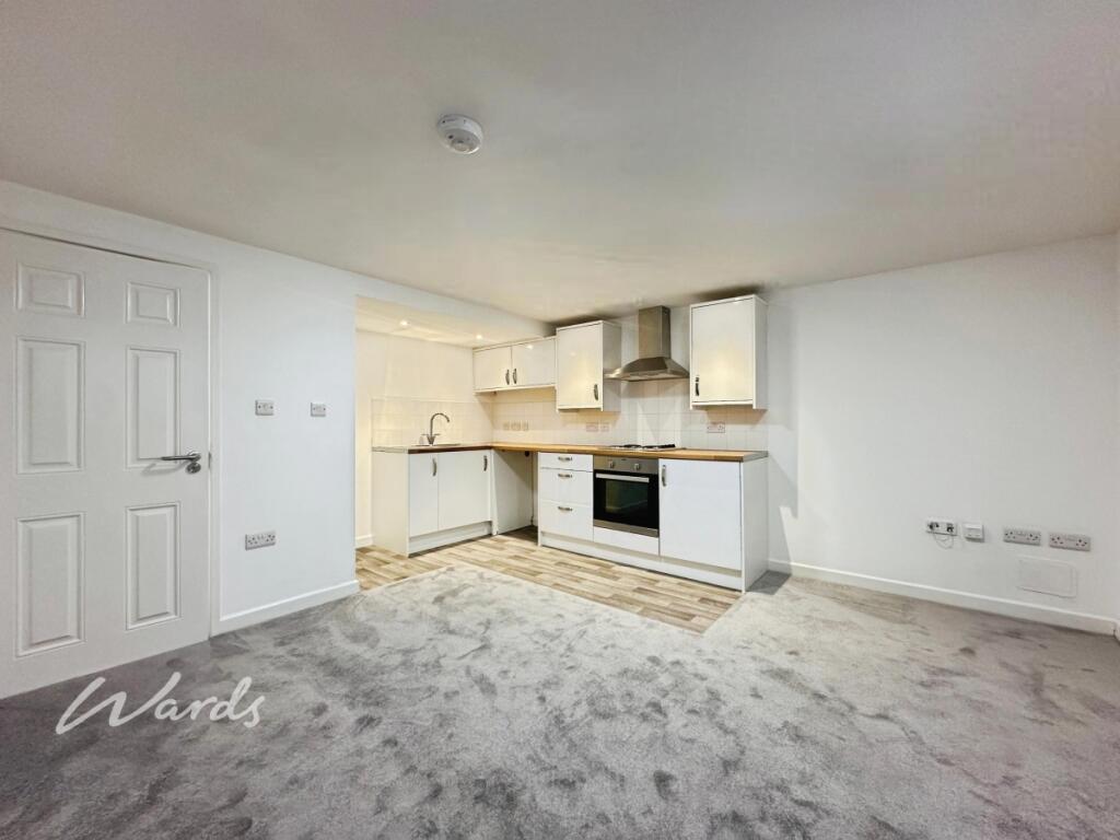 Living/Kitchen Area 