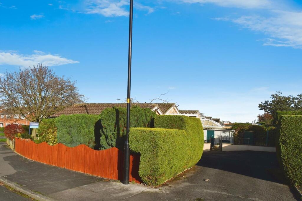 user_edited_photo-b6c6f7c9_user-edited-8def7334-70