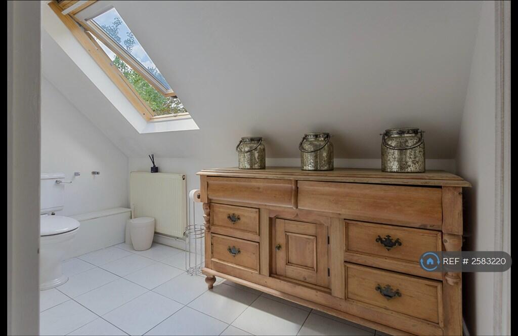 Bath / Shower / Toilet Area