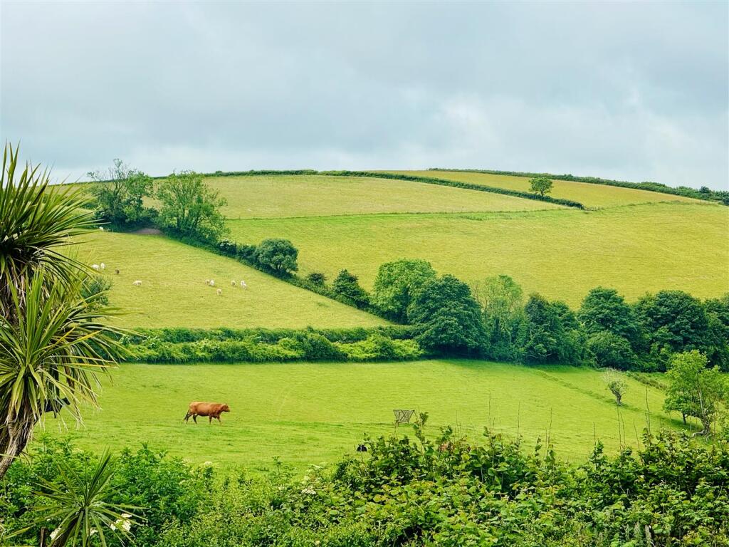 Countryside Views.jpg