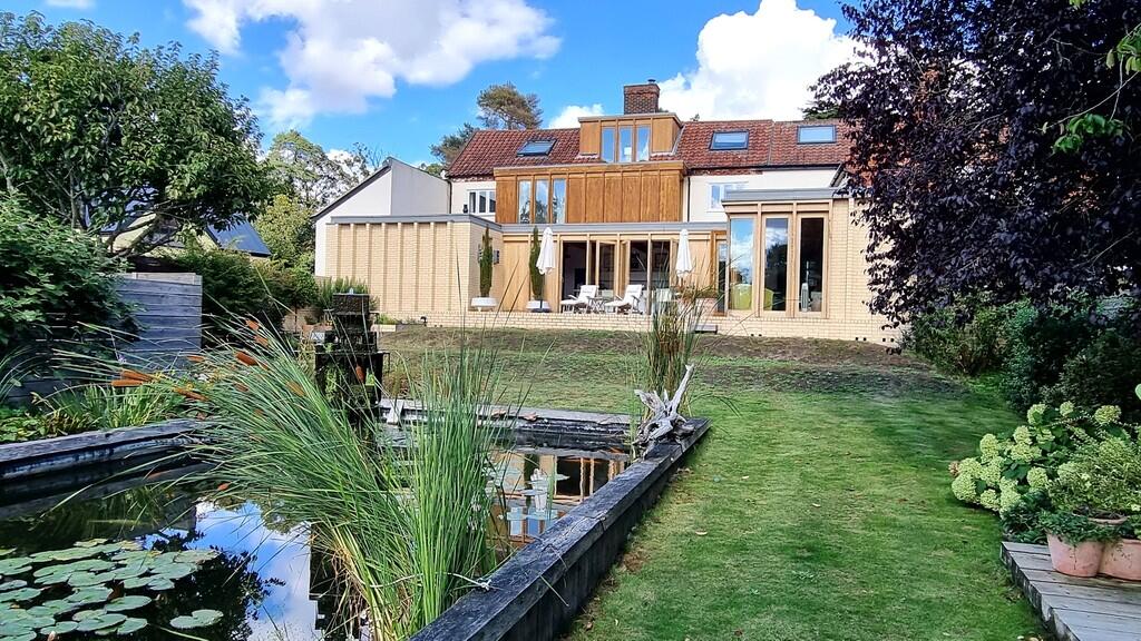 pond