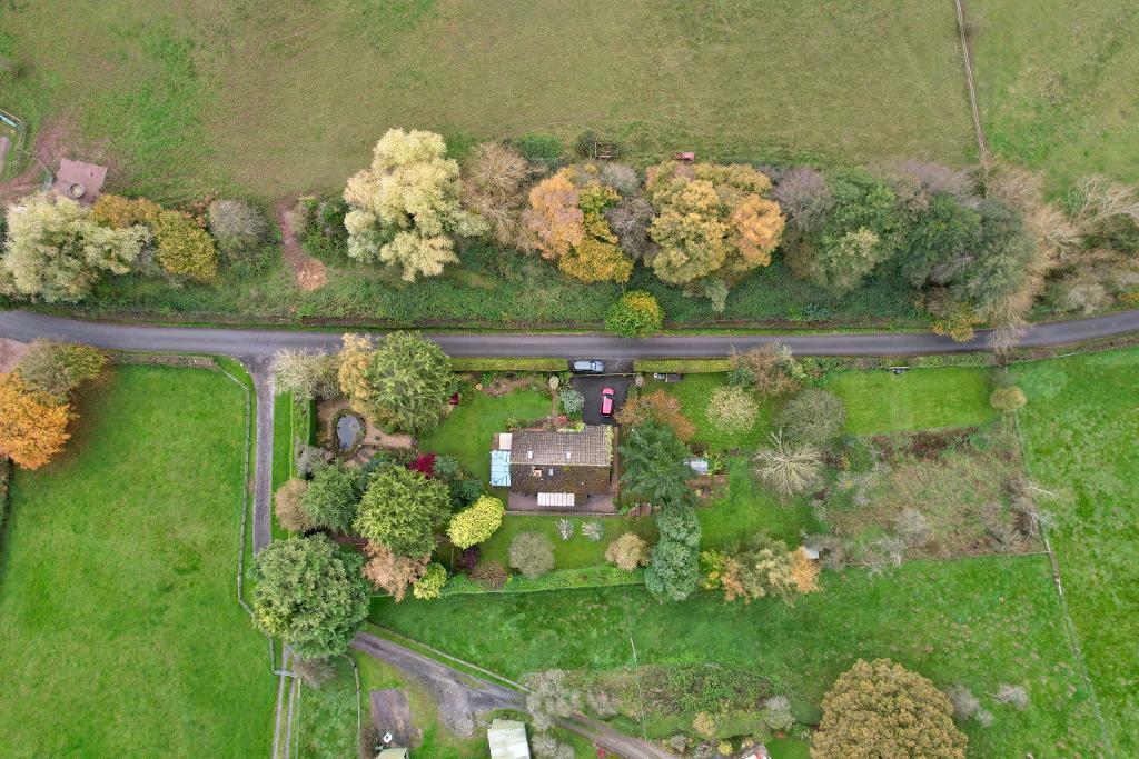 Aerial photo of Red Bank