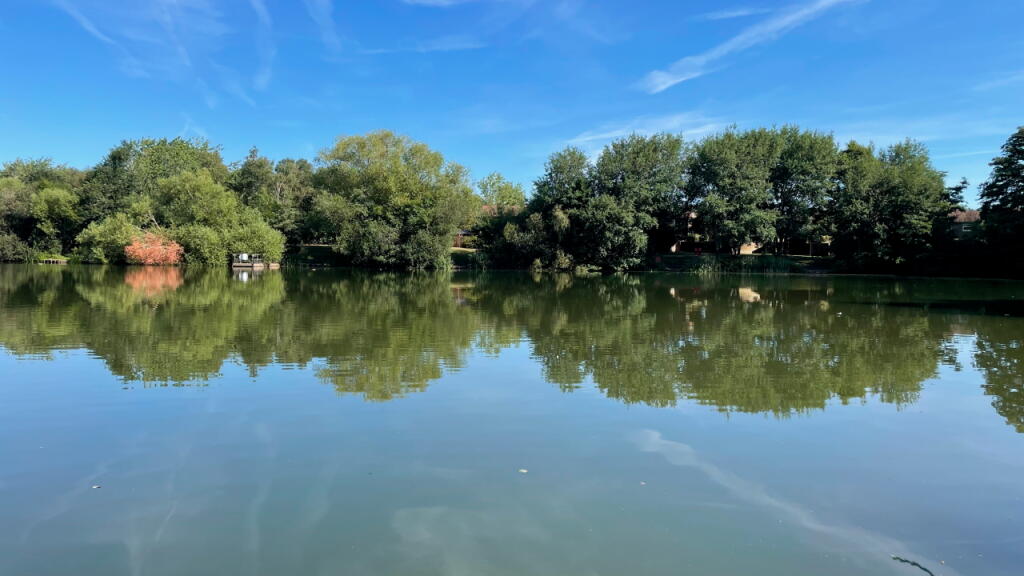 Goldsworth Park Lake