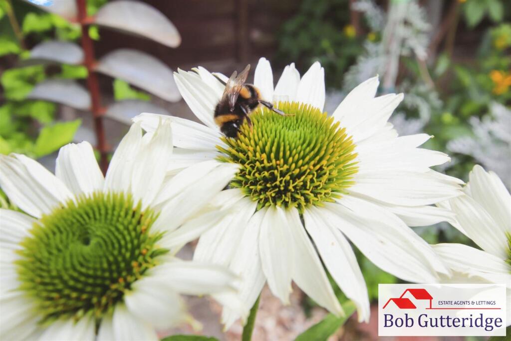 ENCLOSED REAR GARDEN