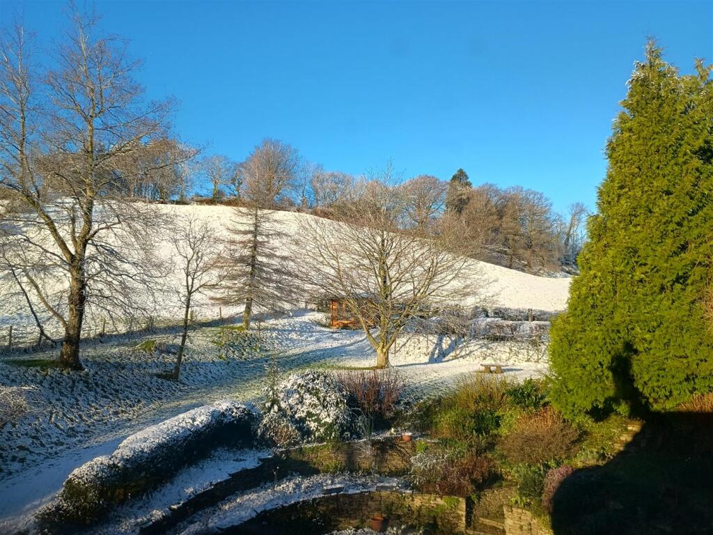 Snowy garden
