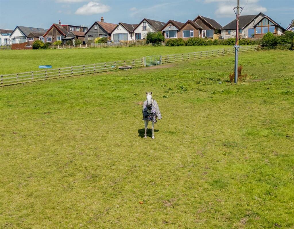 DJI_0061-Edit.jpg
