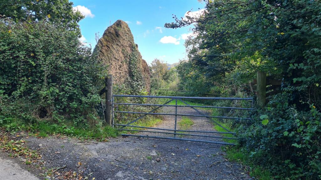 2024-10-03 12.58.49.jpg