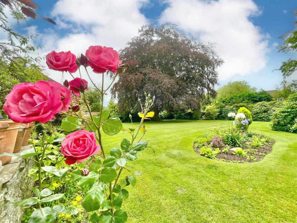 Garden 2.jpg