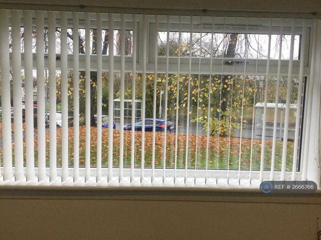 View From Lounge