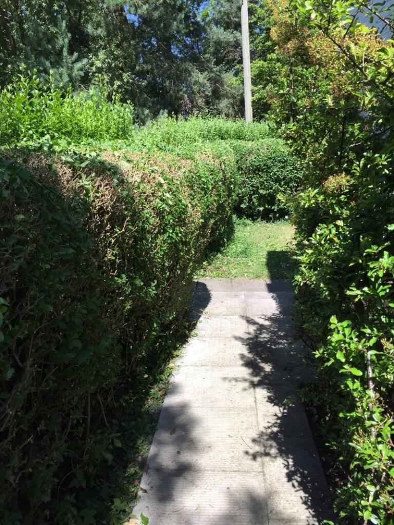 Photo 44