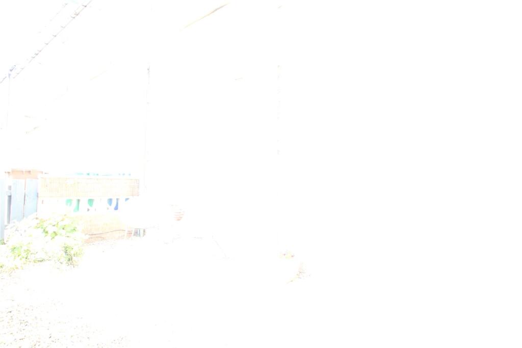 Picture No. 46
