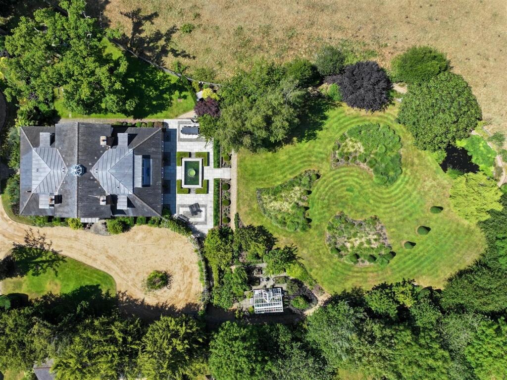 Bird View.jpg