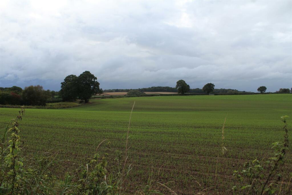 View.JPG