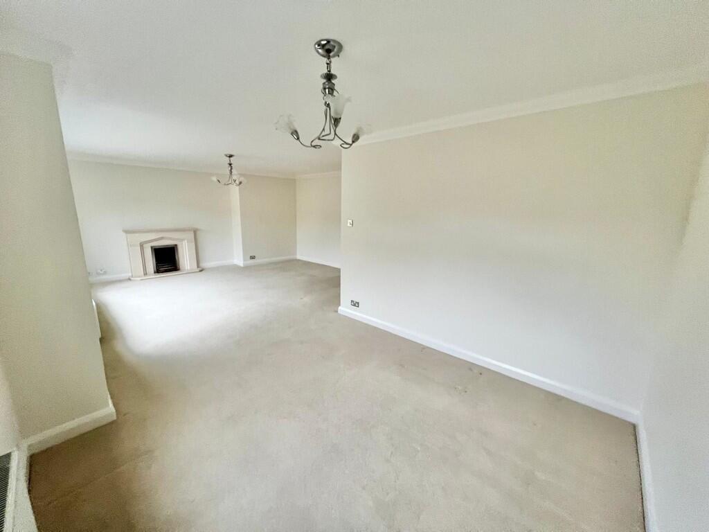 WhatsApp Image 20...