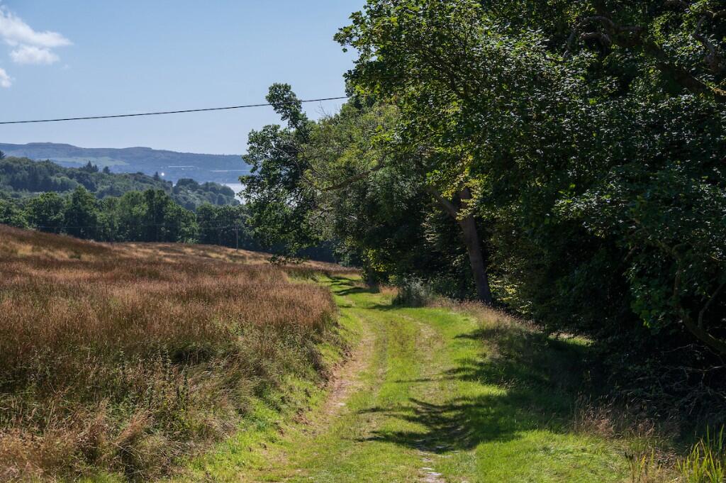 Path