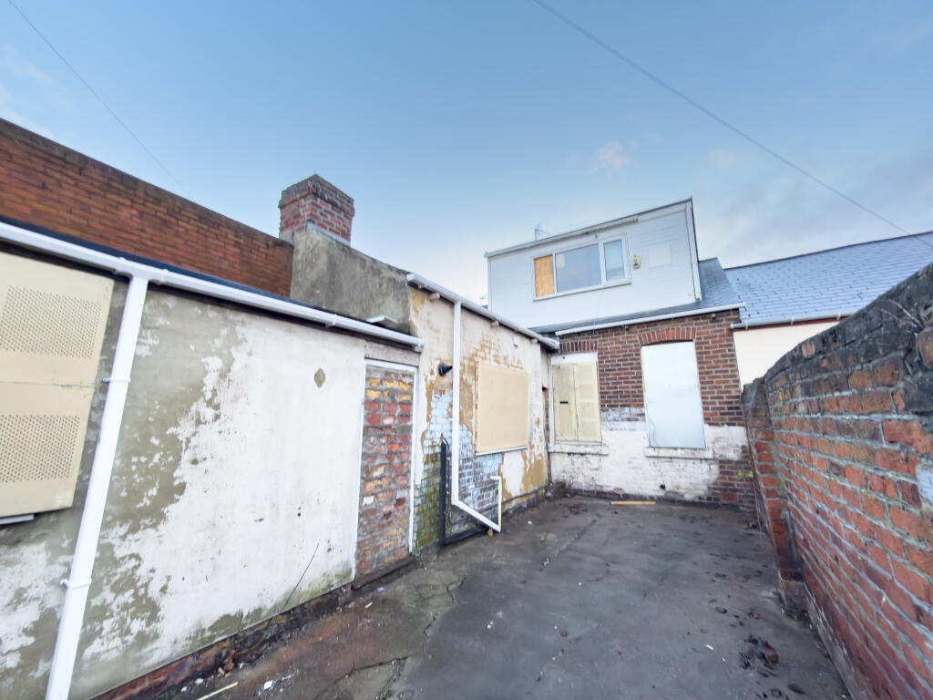 IMG 8383 T202511261752.jpg