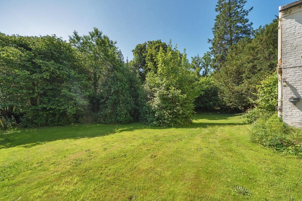 Garden.jpg