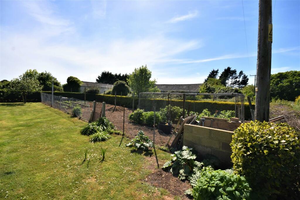 Vegetable Garden..JPG