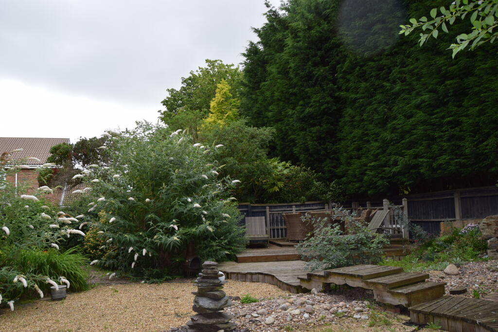 DSC_0015 - Copy.JPG